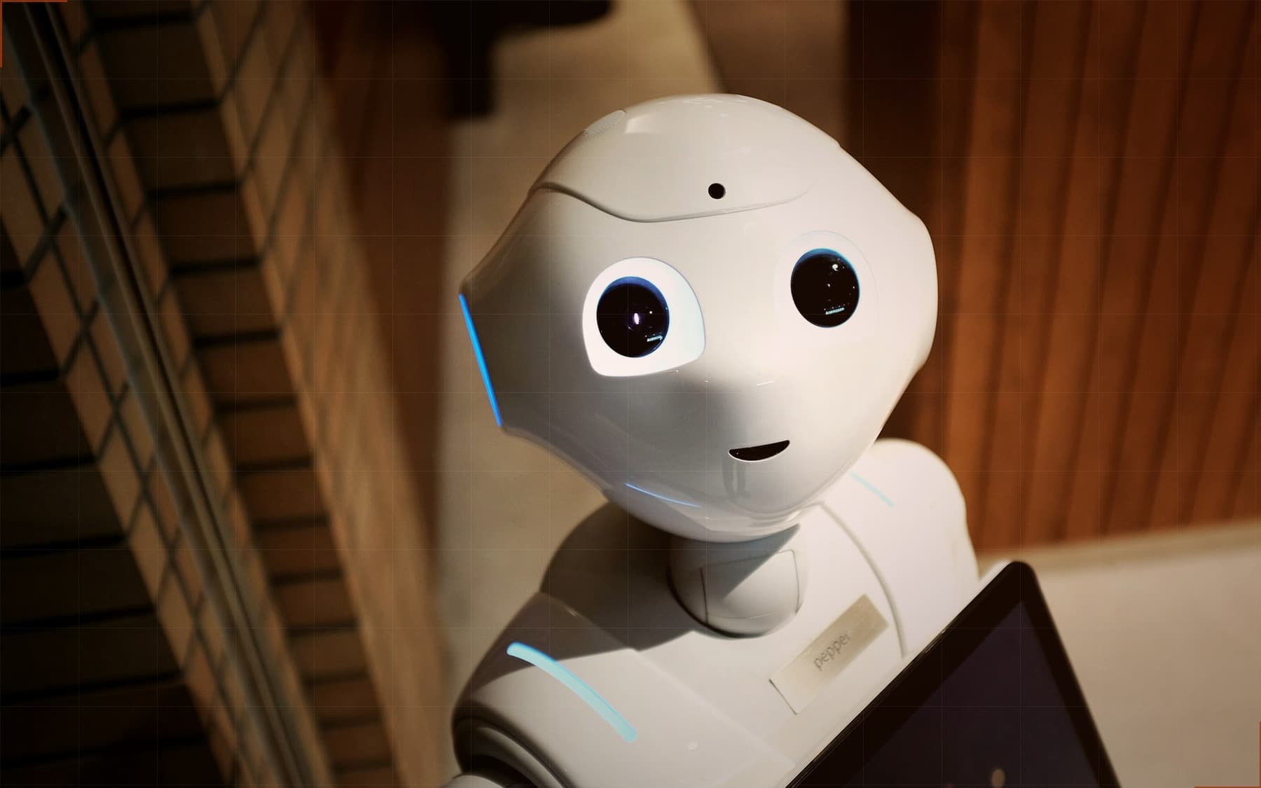 Robot reference